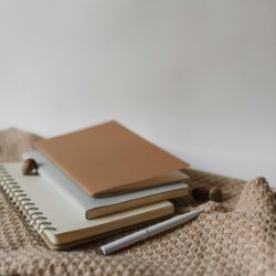 pexels-arina-krasnikova-5712455